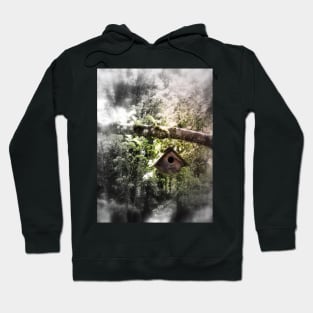 bird house in the apple tree Hoodie